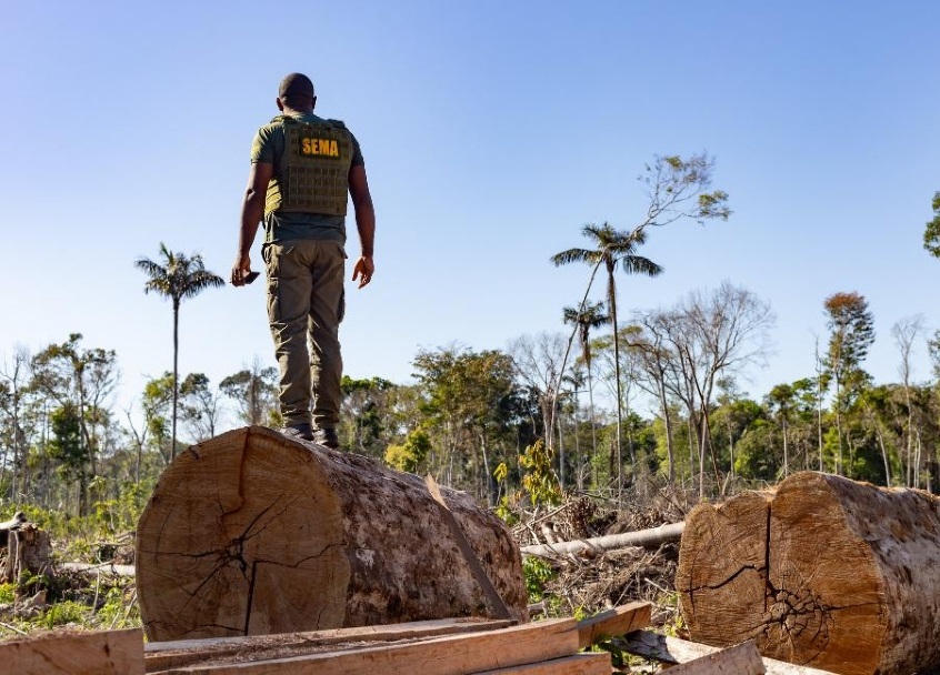 Período proibitivo para exploração do manejo florestal sustentável encerra na próxima segunda-feira 