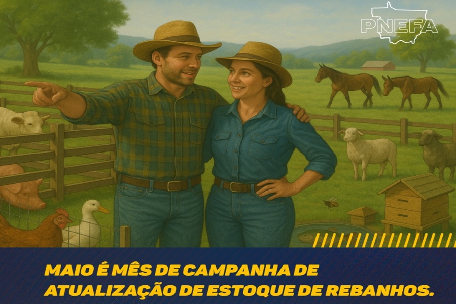 Produtores rurais devem atualizar estoques de rebanho em maio, alerta INDEA-MT 