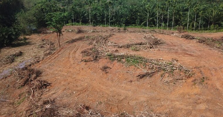 MPMT apresenta denúncias por desmatamentos criminosos em Juína 