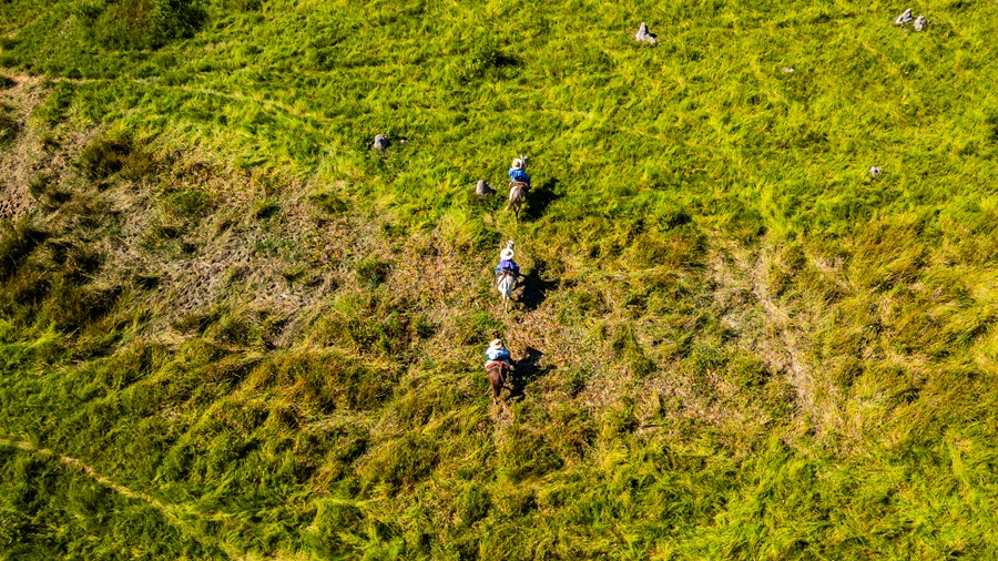 Famato alerta produtores para o início do período proibitivo do uso do fogo no Pantanal 