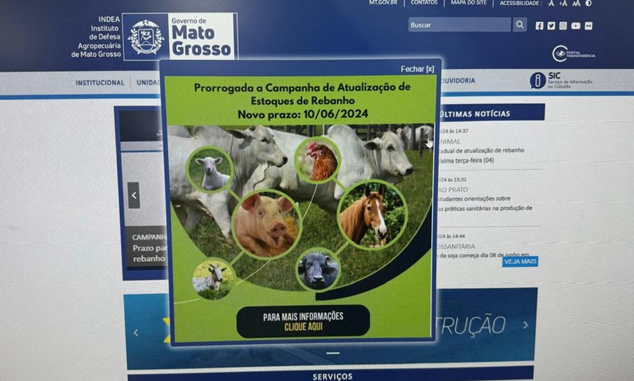Governo de MT prorroga campanha estadual de atualização de rebanho até dia 10 de junho 