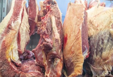 Exportações de carne de MT para os EUA despencam 73% 