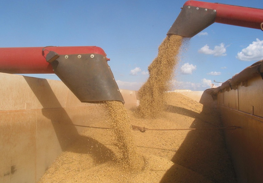 CADE suspende efeitos da Moratória da Soja após pedido da CNA; Famato ressalta relevância da decisão para produtores de MT 