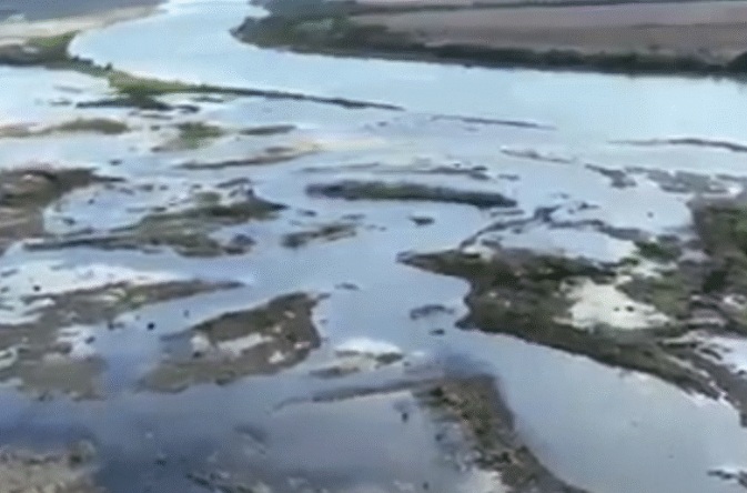 Usina de Colíder em nível de alerta e começa rebaixar reservatório; barcos encalhados e peixes mortos 