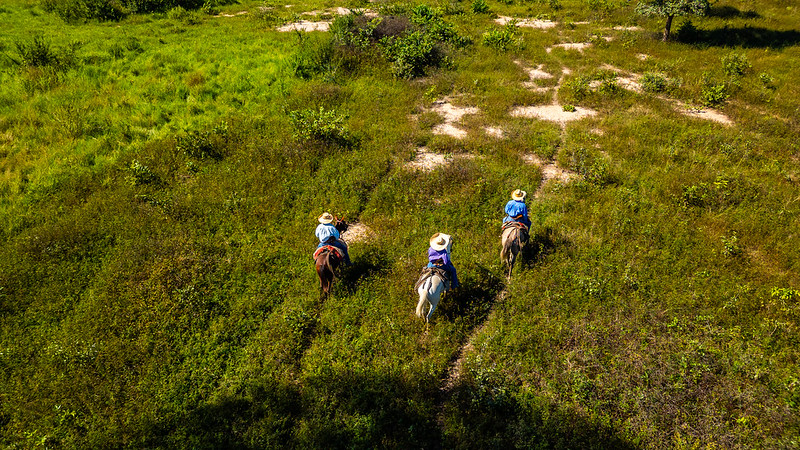 Produtores contam com apoio da Famato em consulta pública sobre ampliação da Reserva do Taiamã 