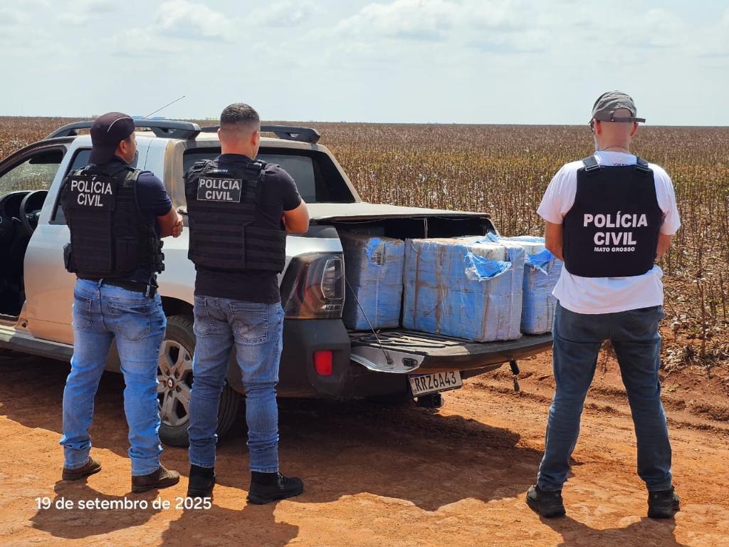 Polícia Civil prende suspeito em flagrante com 240 tabletes de maconha tipo skank 