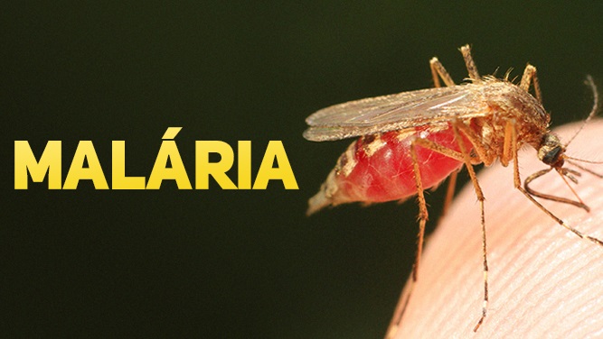 Aumento de casos de malária acende alerta em MT: Aripuanã concentra maior número de infecções em 2025