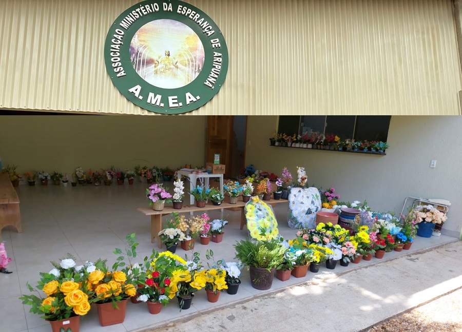 AMEA realiza venda de flores em Aripuanã para arrecadar fundos em prol da entidade 