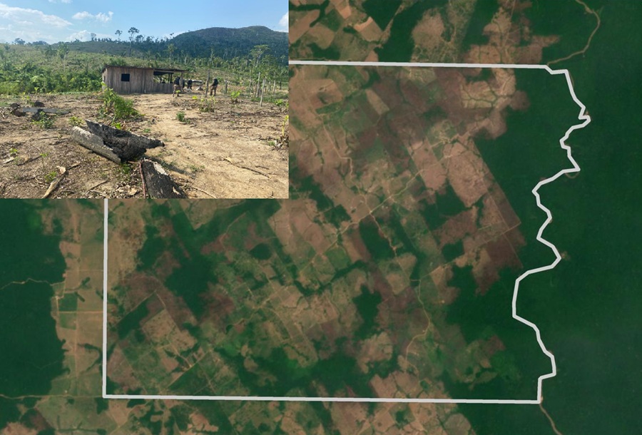 Justiça determina reintegração de posse de fazendas em Aripuanã   