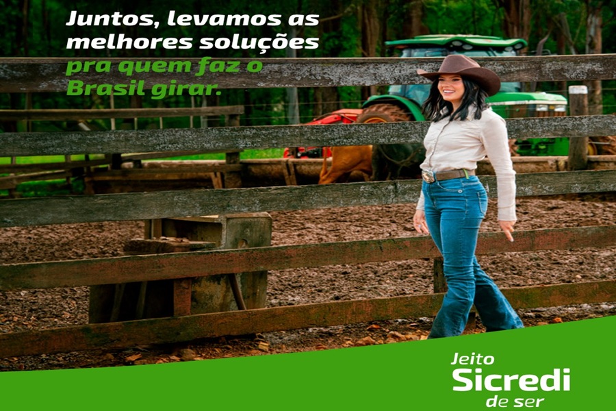 Colheita da Soja em Mato Grosso e Rondônia; Sicredi disponibiliza soluções em crédito e seguros para apoiar o agro 