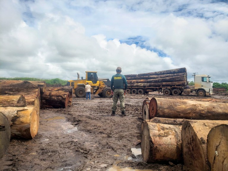 Operação do Ibama intercepta madeira ilegal em Aripuanã 