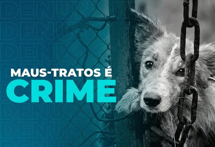 Prefeitura sanciona Lei e reforça combate aos maus-tratos contra animais em Aripuanã 