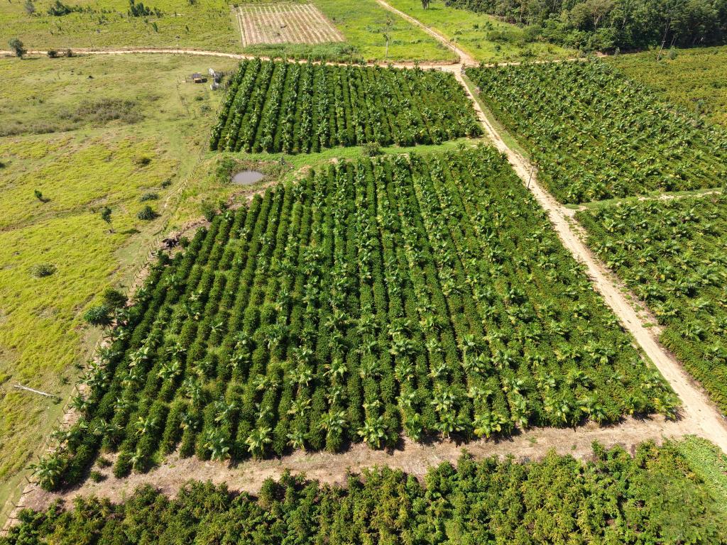 Expedição Rota do Café leva pesquisa e orientação técnica a produtores da capital do café em Colniza