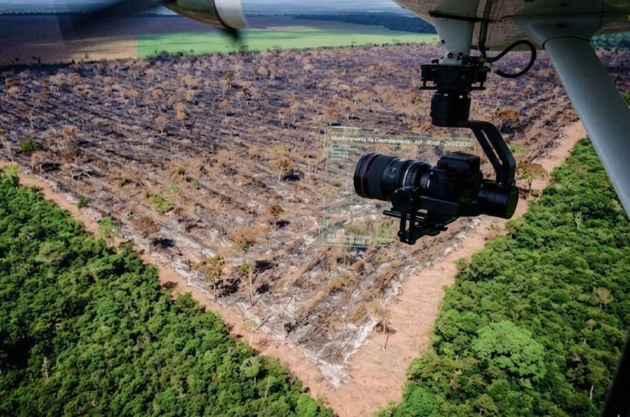 Estudo revela que cidades que mais desmatam em Mato Grosso têm população mais pobre 