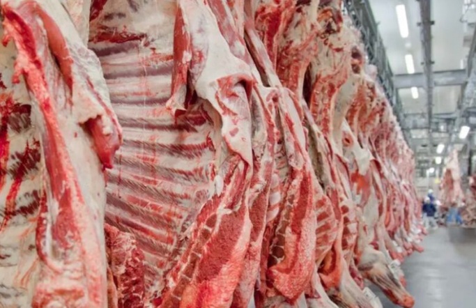 Estudo da UFMT identifica falhas no controle sanitário da carne bovina no Brasil 