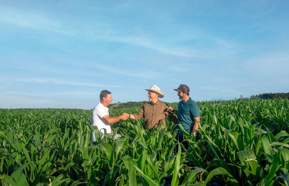 Sicredi libera R$ 48,3 bilhões nos primeiros oito meses da Safra 2025/2026 