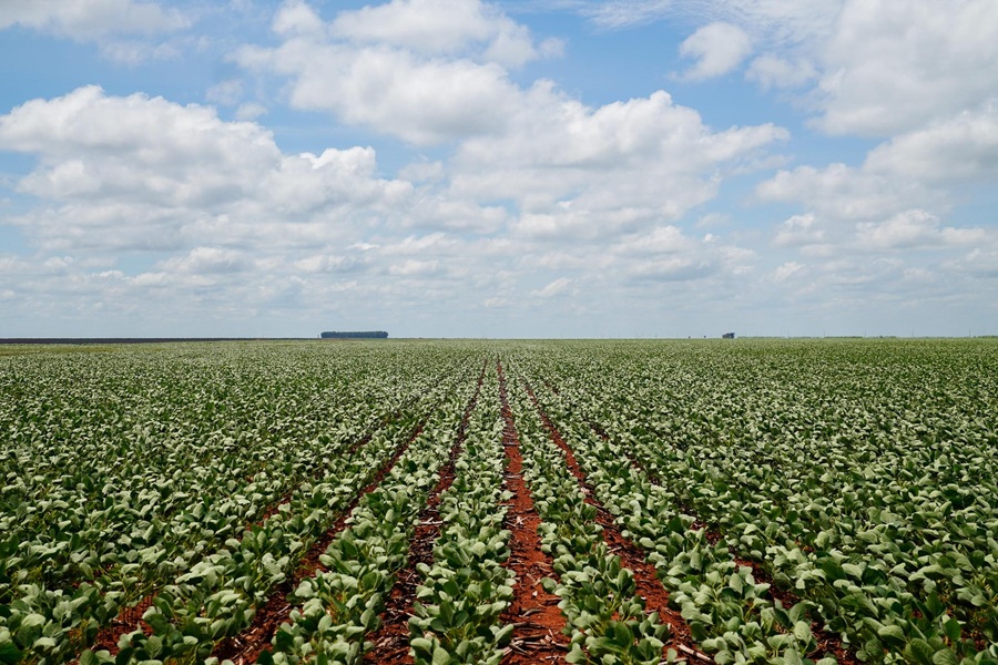 Produção de biodiesel cresce e Mato Grosso responde por 26% do volume nacional, aponta Imea 