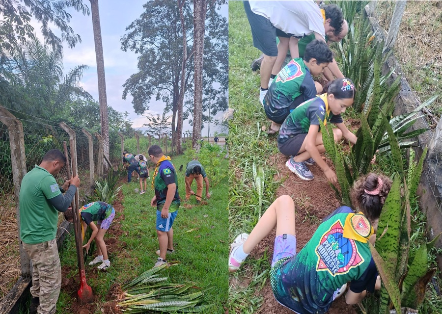Desbravadores da Igreja Adventista participam de ação ambiental no Mirante de Aripuanã 