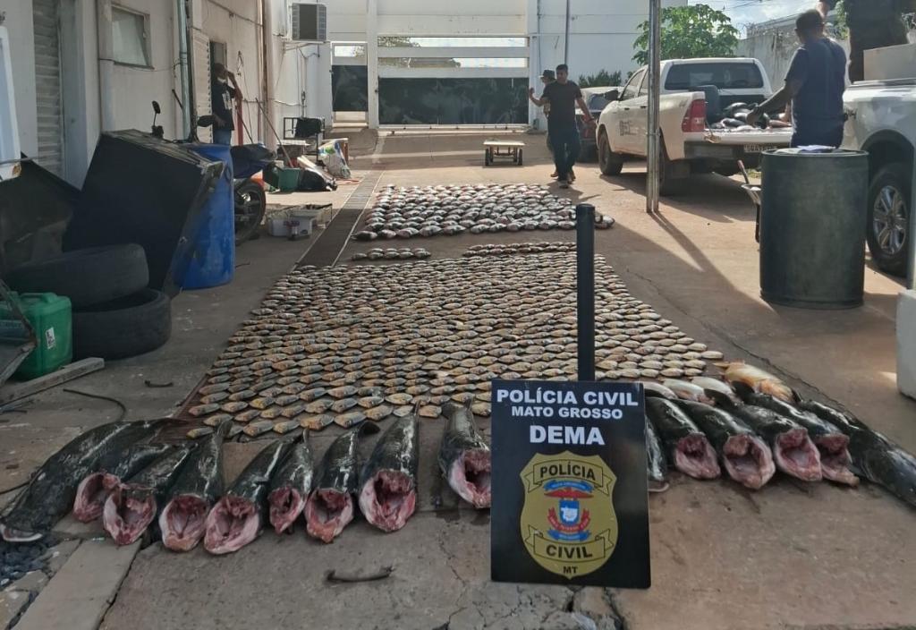 Polícia Civil apreende mais de 900 quilos de pescado irregular e desarticula esquema de pesca predatória em Cuiabá 