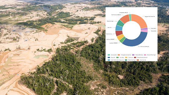 Mato Grosso registra 80 mil hectares sob alerta de desmatamento em um mês; Tangará da Serra lidera 