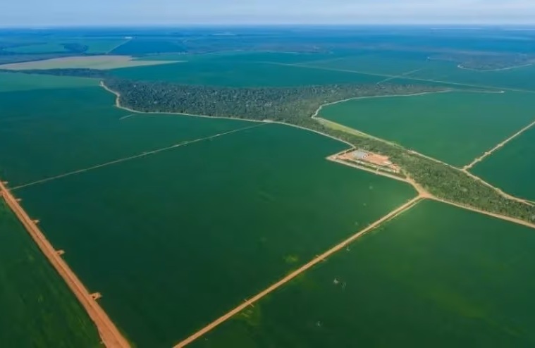 Justiça reintegra Trust Agro na posse de fazenda de 6 mil hectares e determina despejo de mais de 120 famílias em Cotriguaçu 
