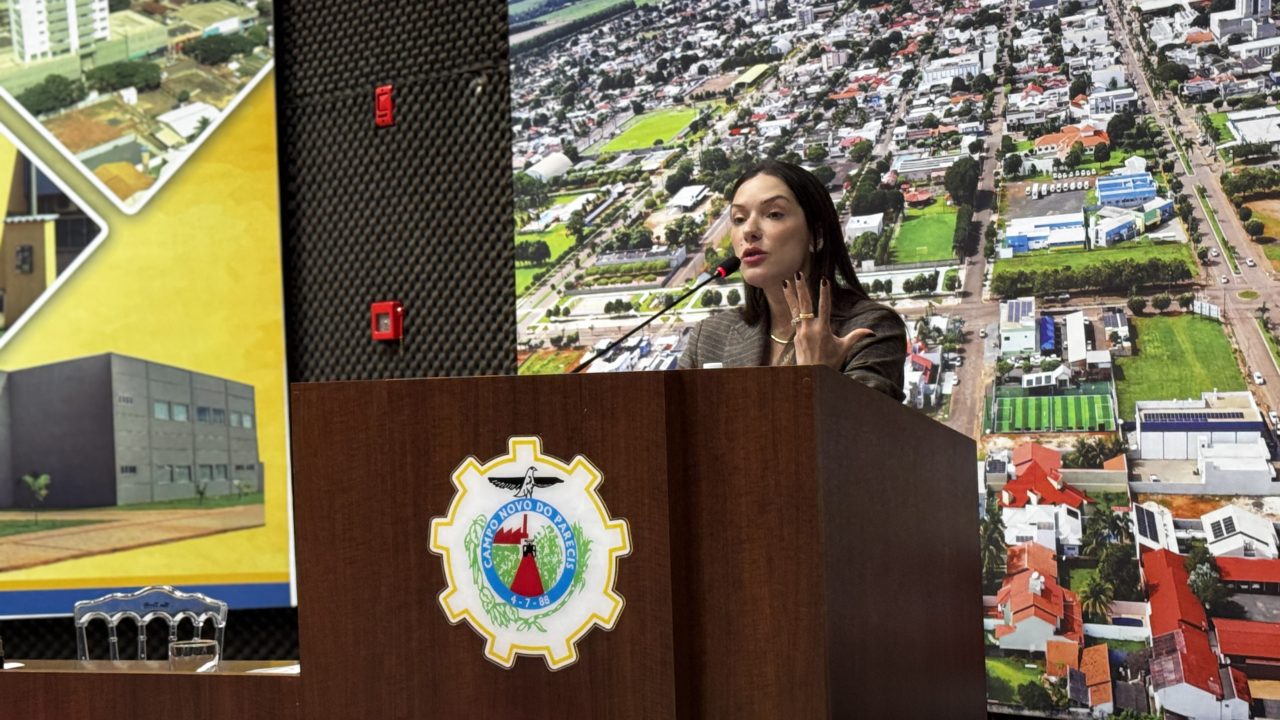Janaina Riva defende penas mais severas e reforça papel das procuradorias no combate à violência 