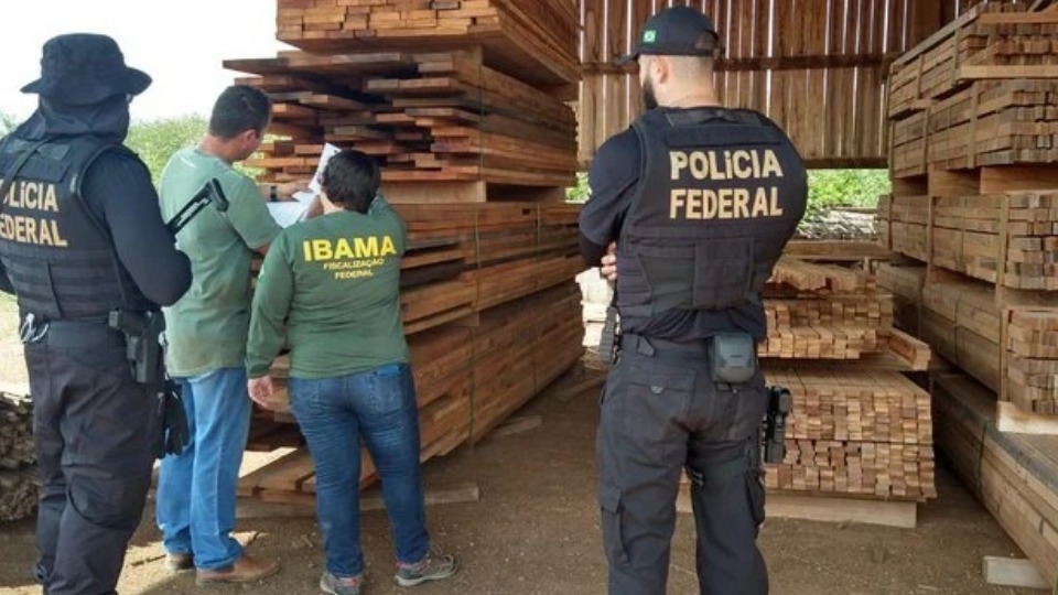 PF deflagra Operação Acesso Facilitado contra exploração ilegal de madeira e minério em terras indígenas 