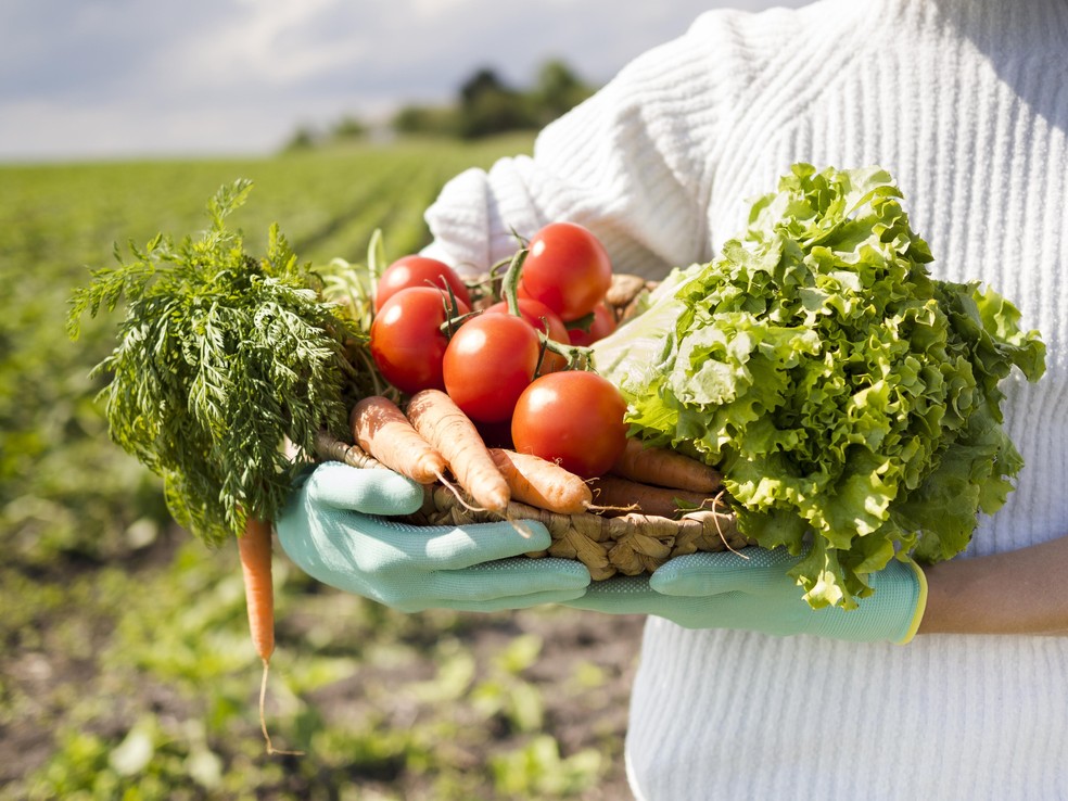 Agricultura familiar respondeu por quase 80% dos contratos do Plano Safra 2025/2026 