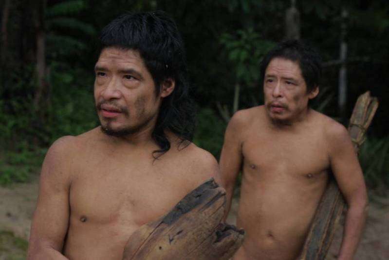Justiça manda retirar invasores e gado da Terra Piripkura em  